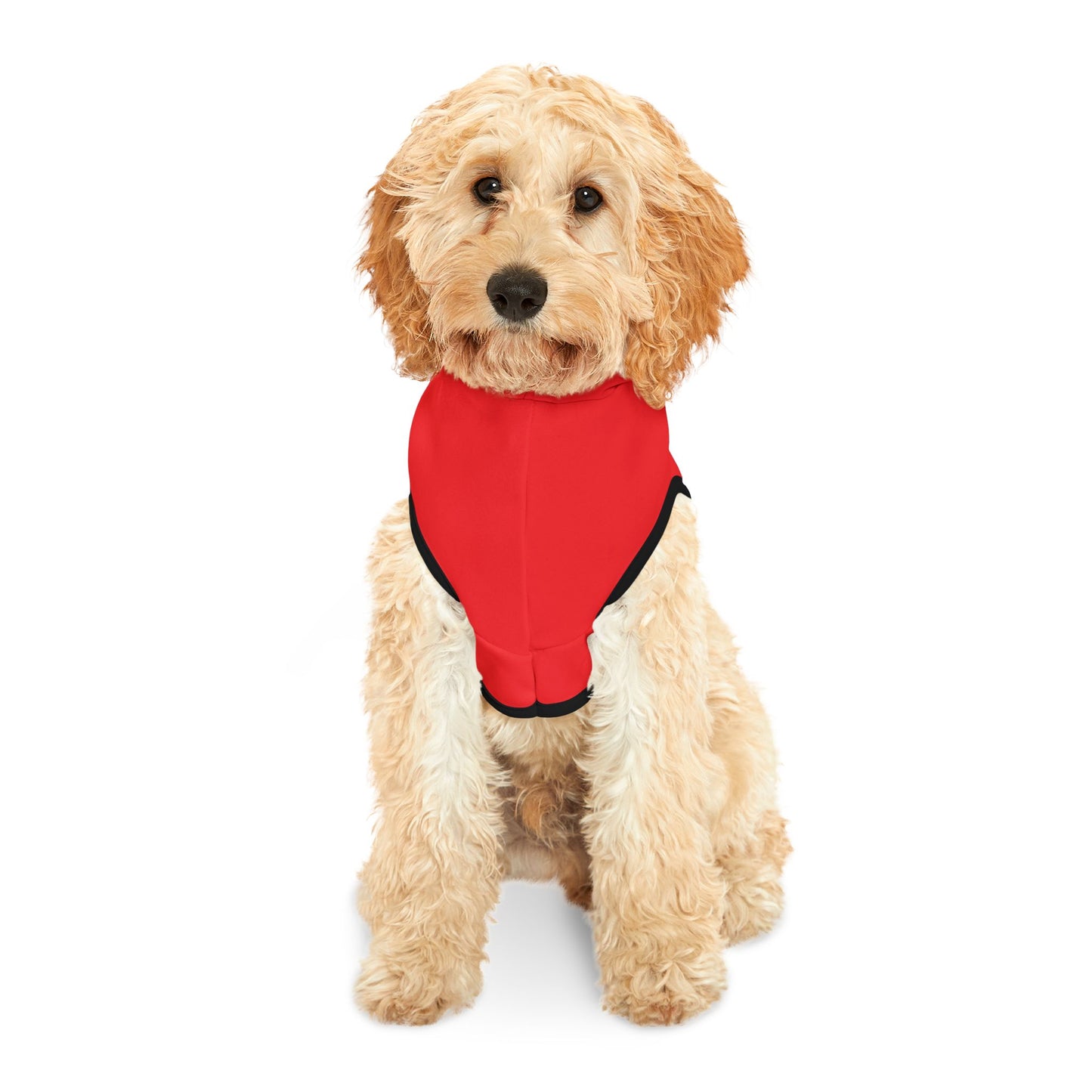 BeBop for Betsy Pet Hoodie w Black– Adorable Red Hooded Dog Sweater for All Occasions